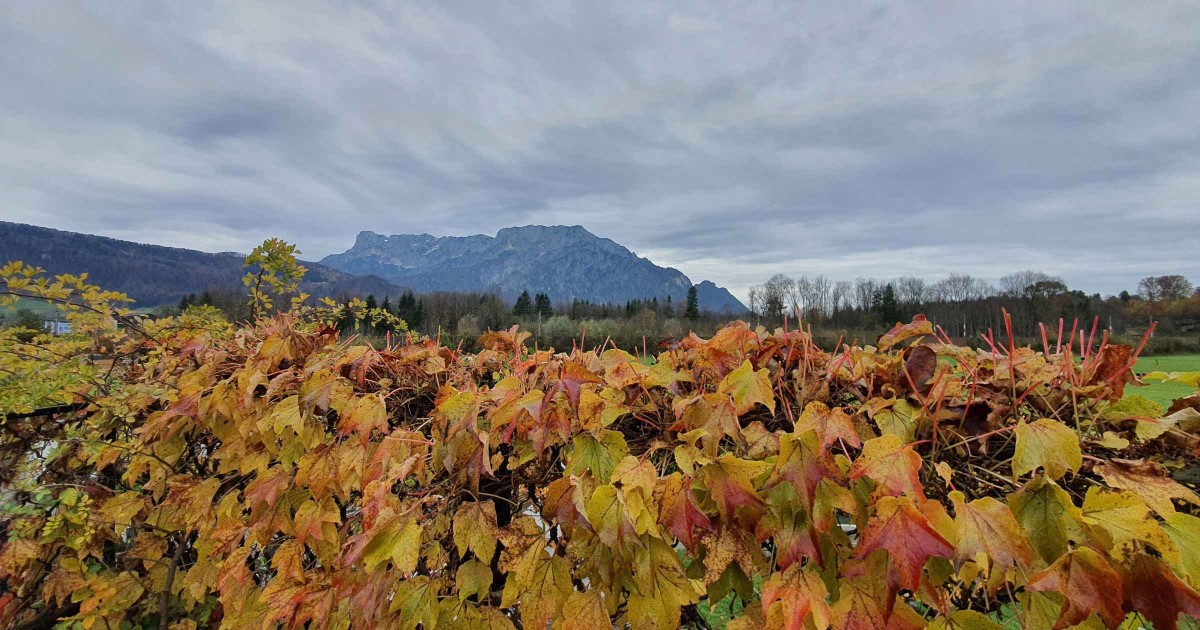 Blick Untersberg © TVB Puch